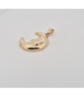 Pendente Onais F24.6166  luna elettroformata argento giallo 925