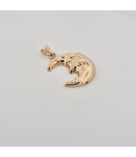 Catena Onais 60 cm e pendente luna elettroformata argento giallo